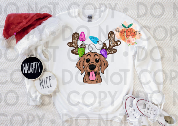 Golden retriever Christmas DTF