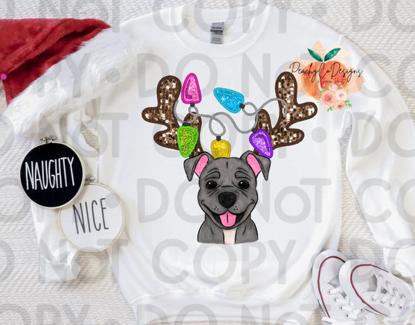 Pitbull Christmas DTF