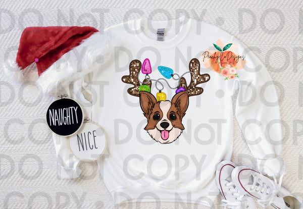 Corgi Christmas DTF