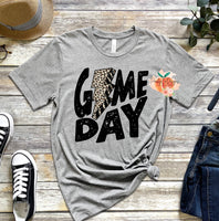 Game day football