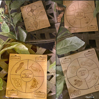 Life cycle puzzles THT