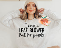 01/16 I need a leaf blower but for people
