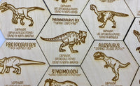 Dinosaur token set of 10 THT
